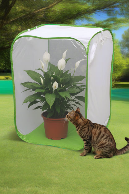 Tabby cat sitting next to a PawHedge mesh cover protecting a houseplant on a living room floor.