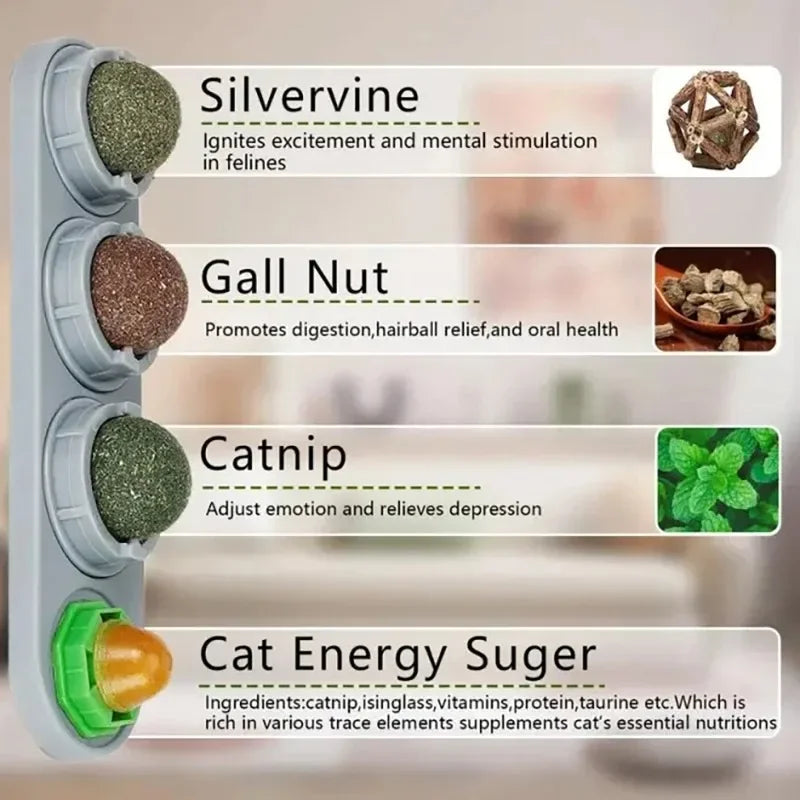 catnip silvervine gall nut energy balls close up