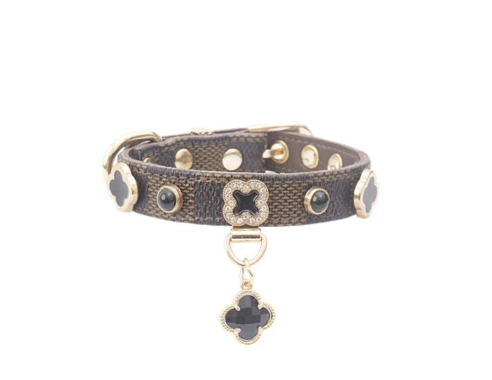 pet collar clover charm detail luxury accessory