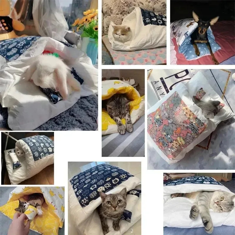 Collage of cats and dogs in various cozy blankets and beds.