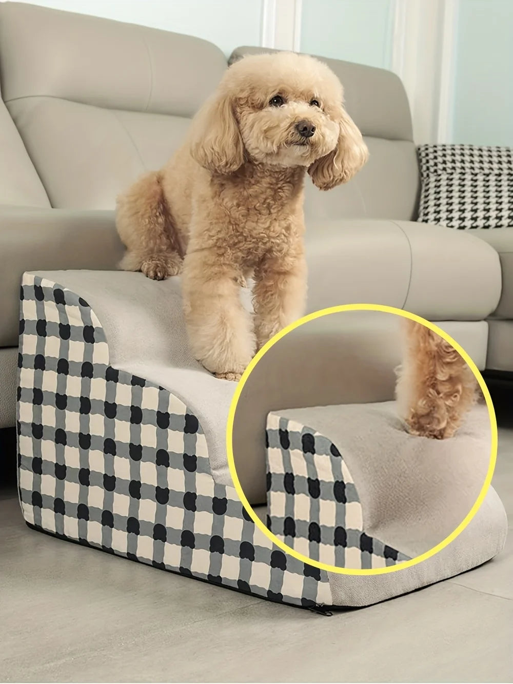 Dog sitting on a checkered pet ramp in a living room.