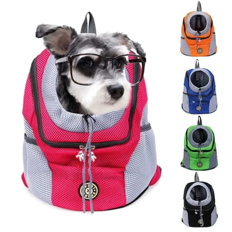Small dog in front-facing pet carrier with padded straps