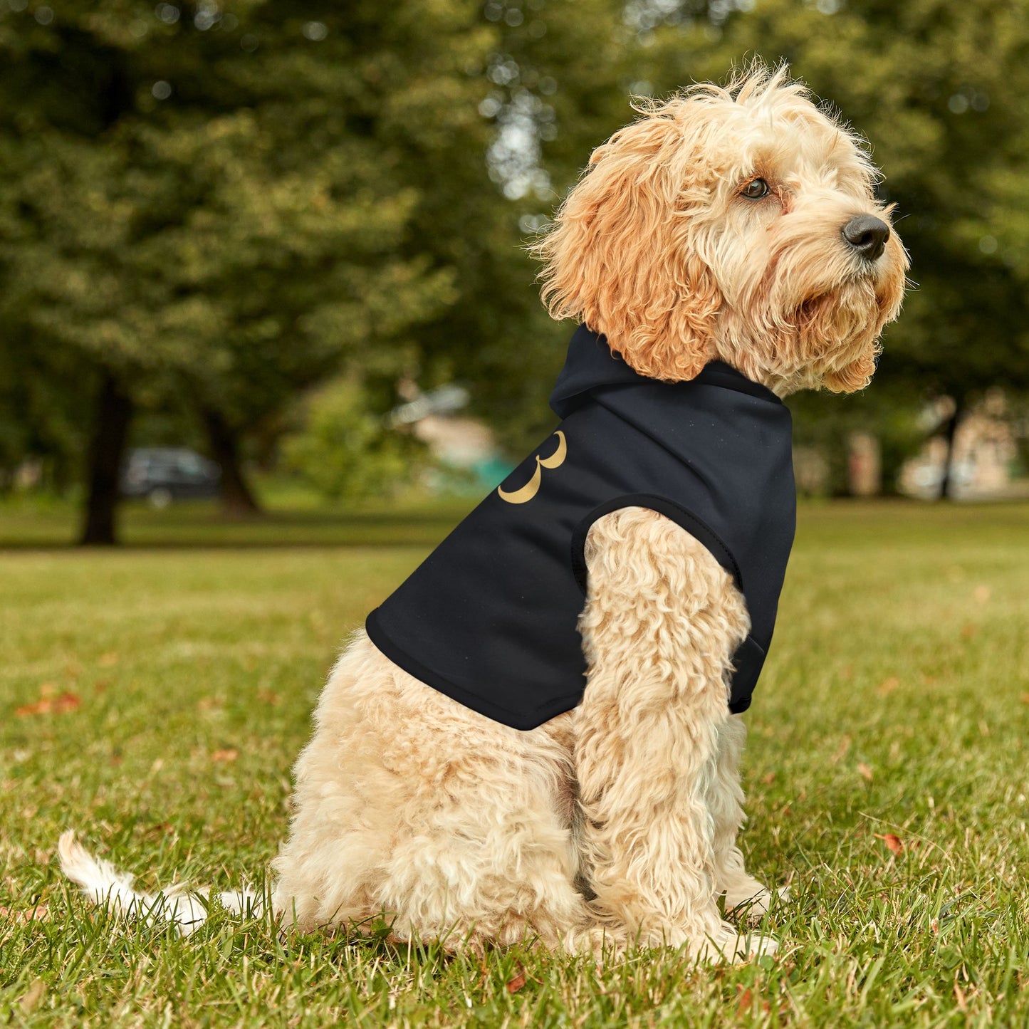 Lightweight pet hoodie with 333 angel number for calm everyday wear