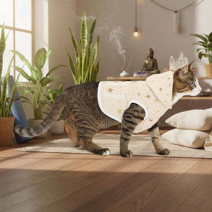 cat walking relaxing indoors wearing soft 11:11 celestial hoodie