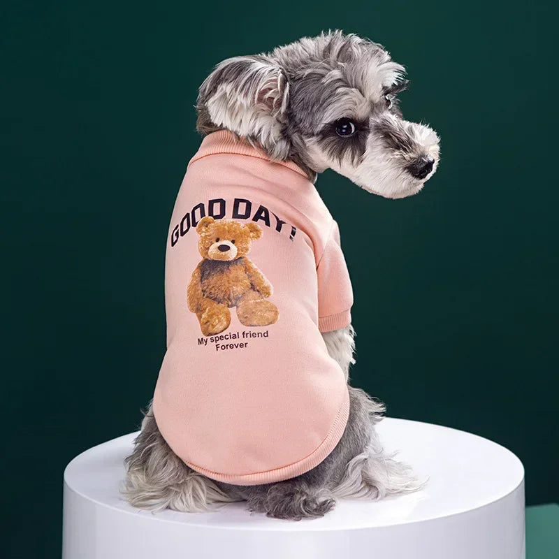 Small dog wearing a soft brown teddy bear-style pullover sweater, made from 100% cotton, ideal for warmth and comfort.
