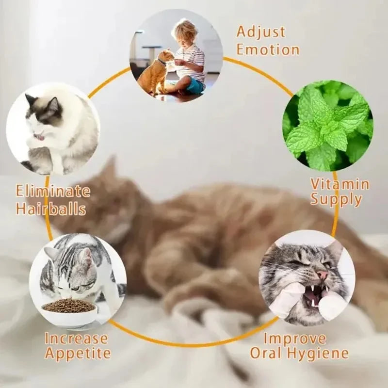 cat licking toy cleaning teeth