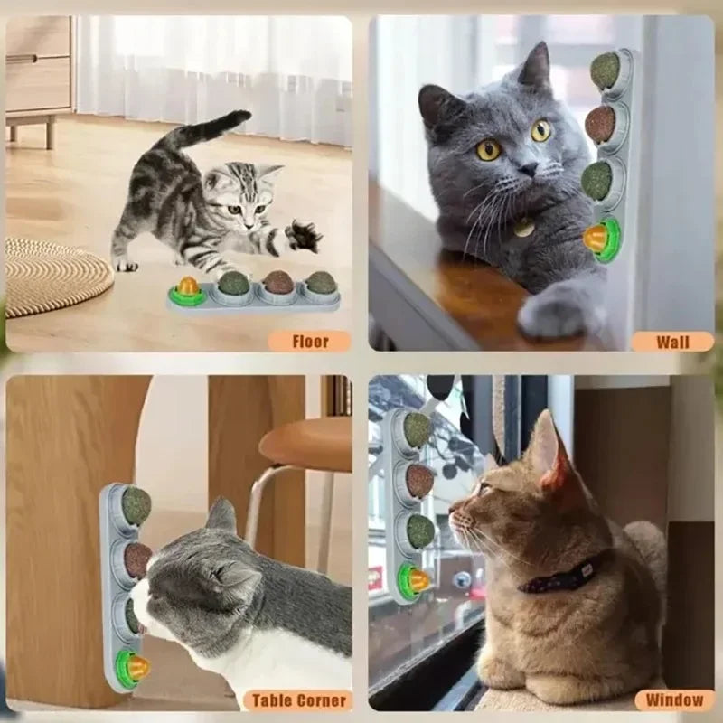 cat licking toy aiding digestion