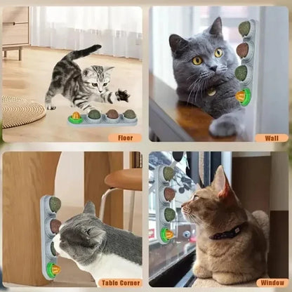 cat licking toy aiding digestion