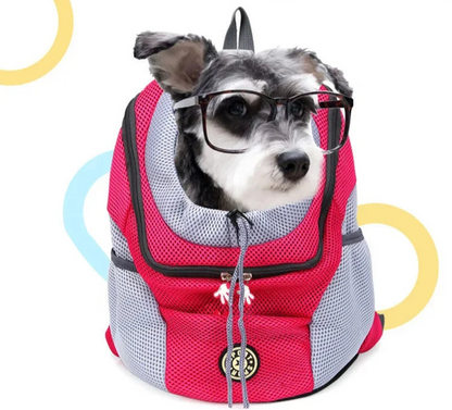 Owner carrying pet backpack on front and back