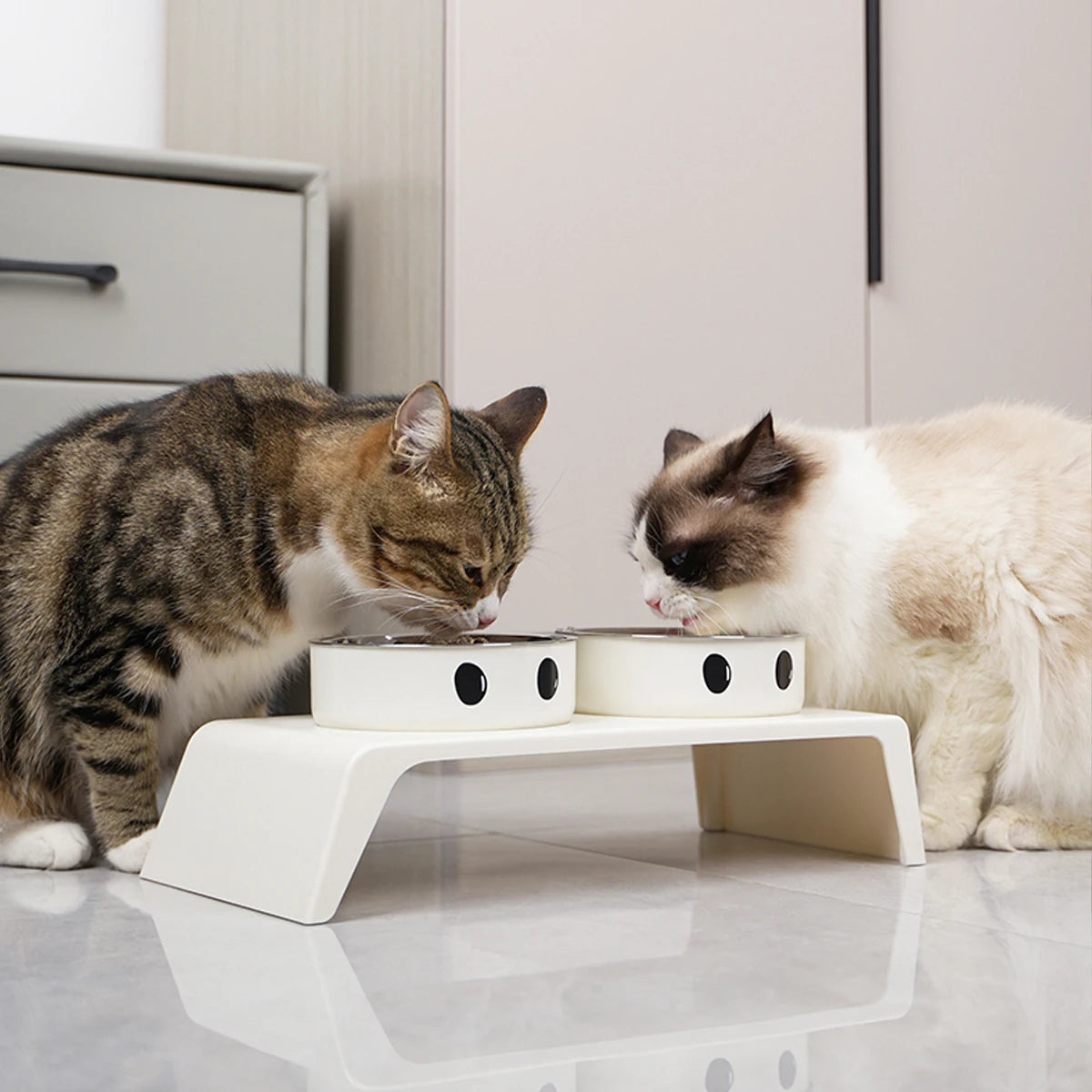 Ergonomic Dog Feeding Position Example