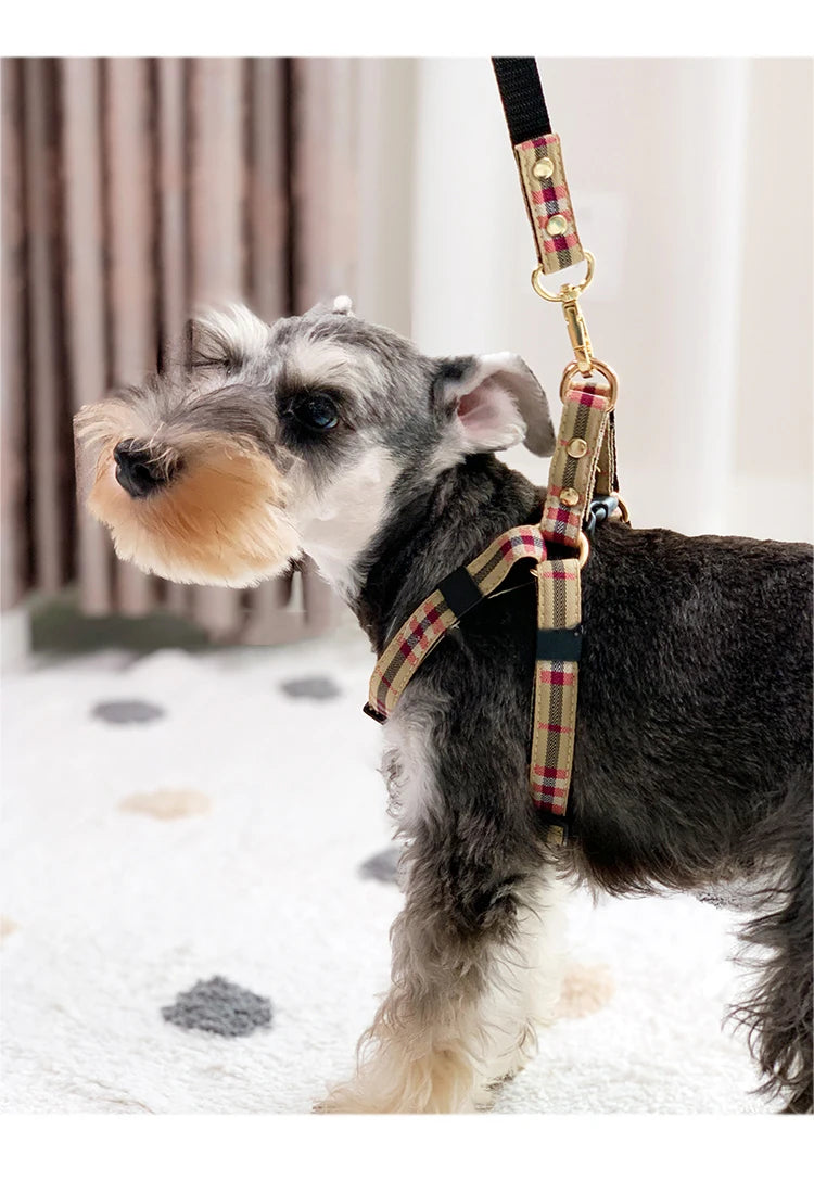 RegalPaw plaid harness and lead gift set in classic British plaid pattern on white background