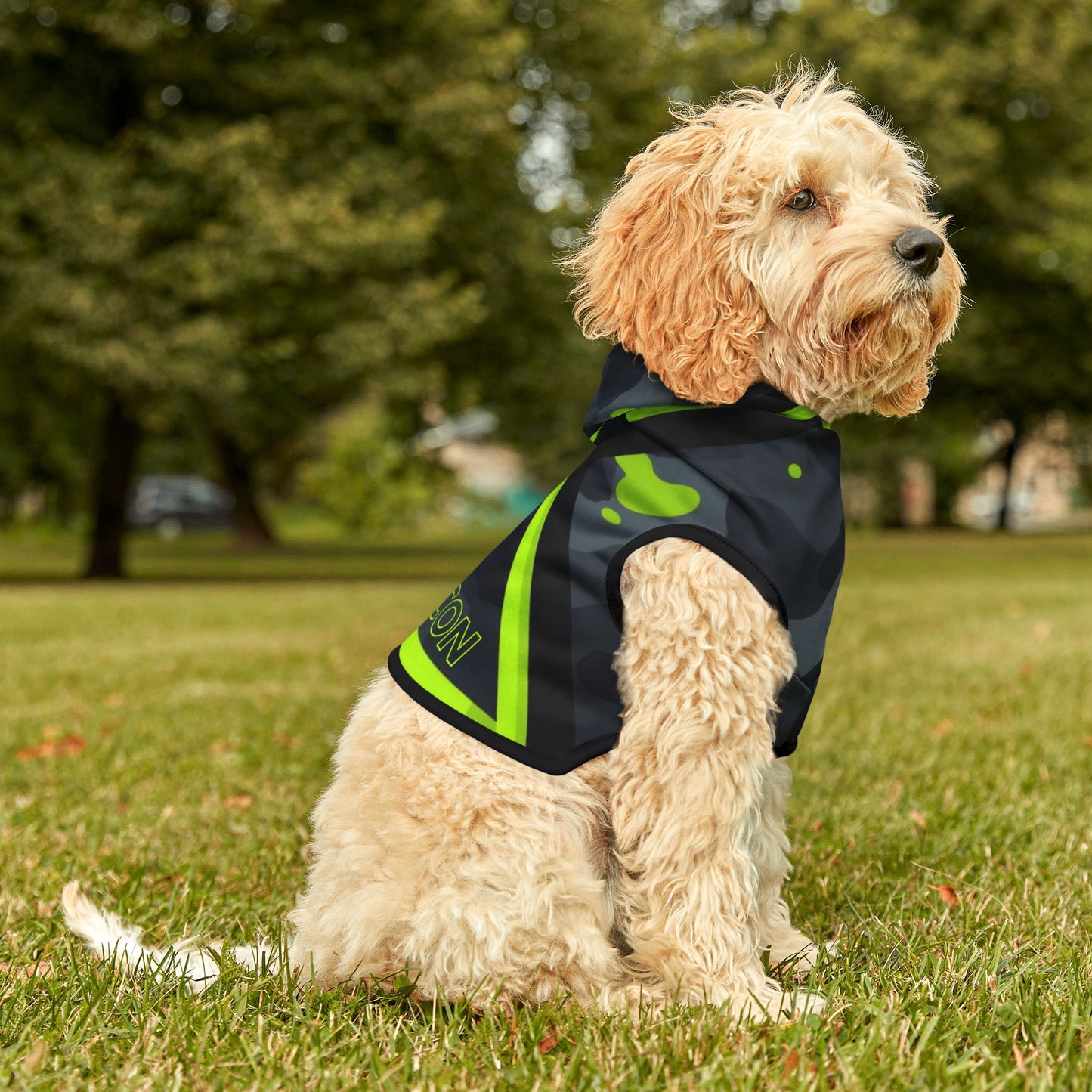 Block Icon dog hoodie fit on medium breed