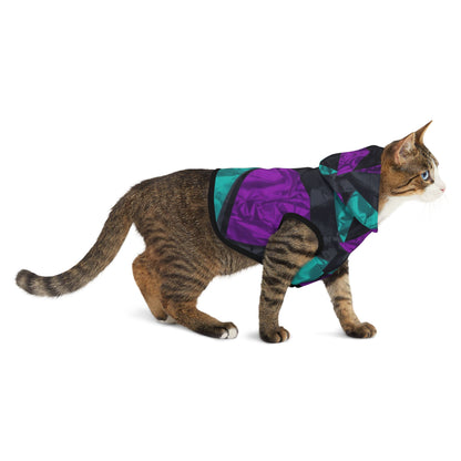 Cat wearing a colorful jacket on a white background angel number 222