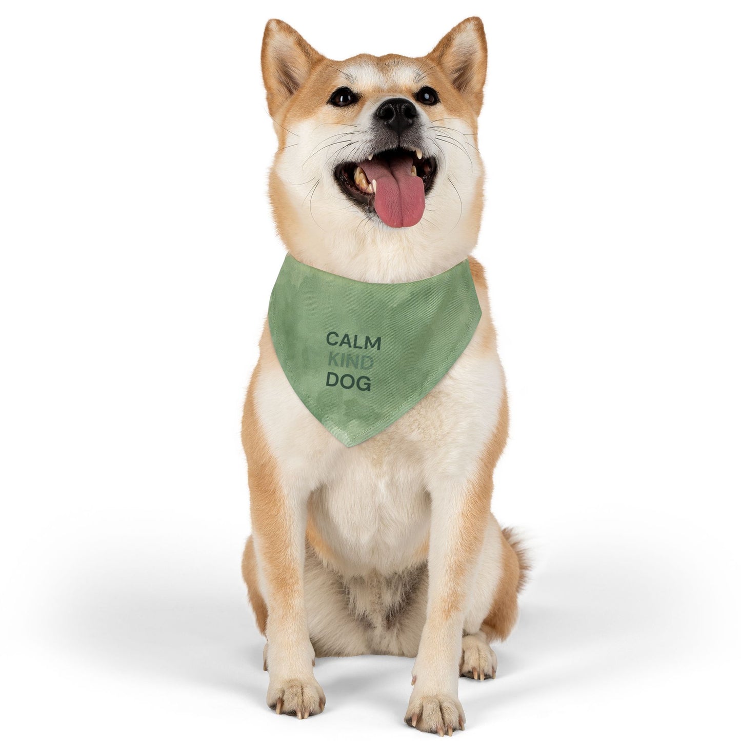 Dog bandana for everyday walks