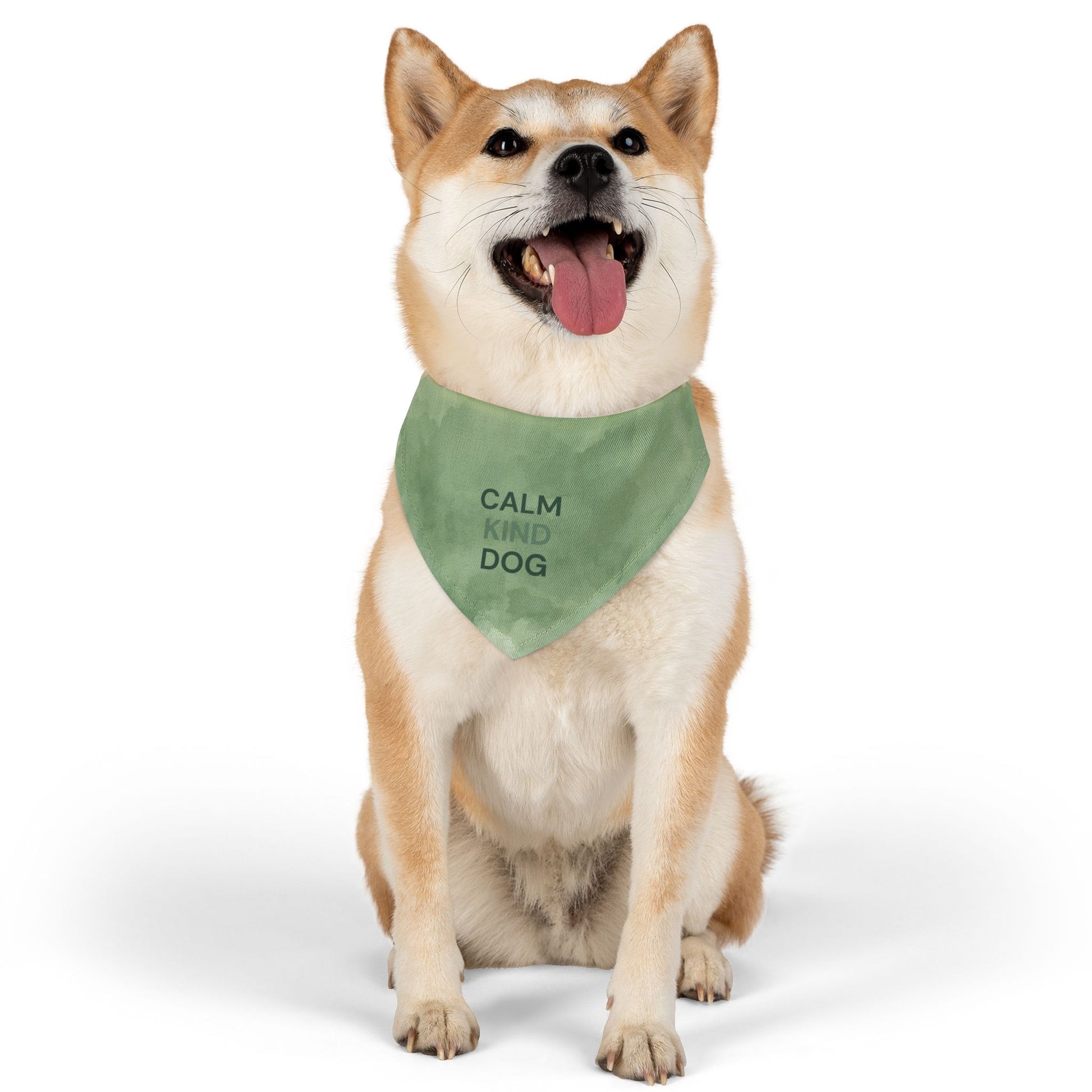 Dog bandana for everyday walks