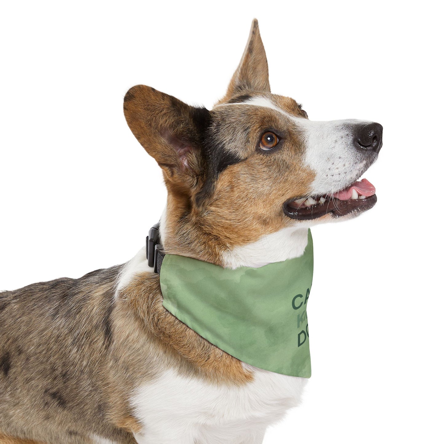 Dog wearing a green bandana on a white background