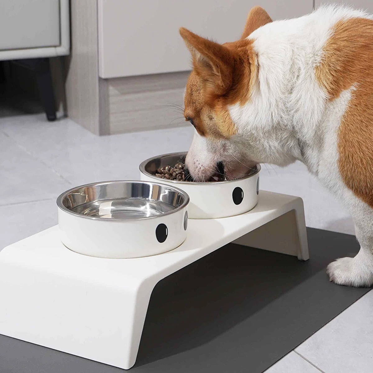 Raised Pet Feeding Station Stainless Steel Bowls