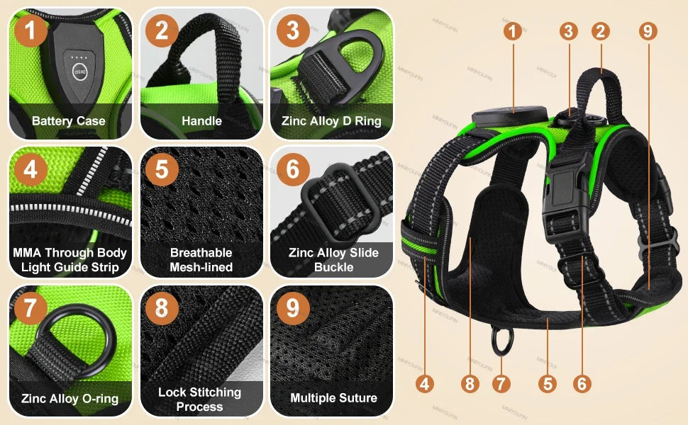 LED dog harness with labelled padding adjustment buckles and battery unit on beige background