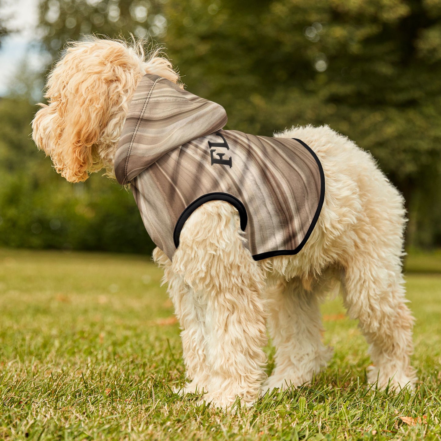Pet hoodie size guide for dogs and cats