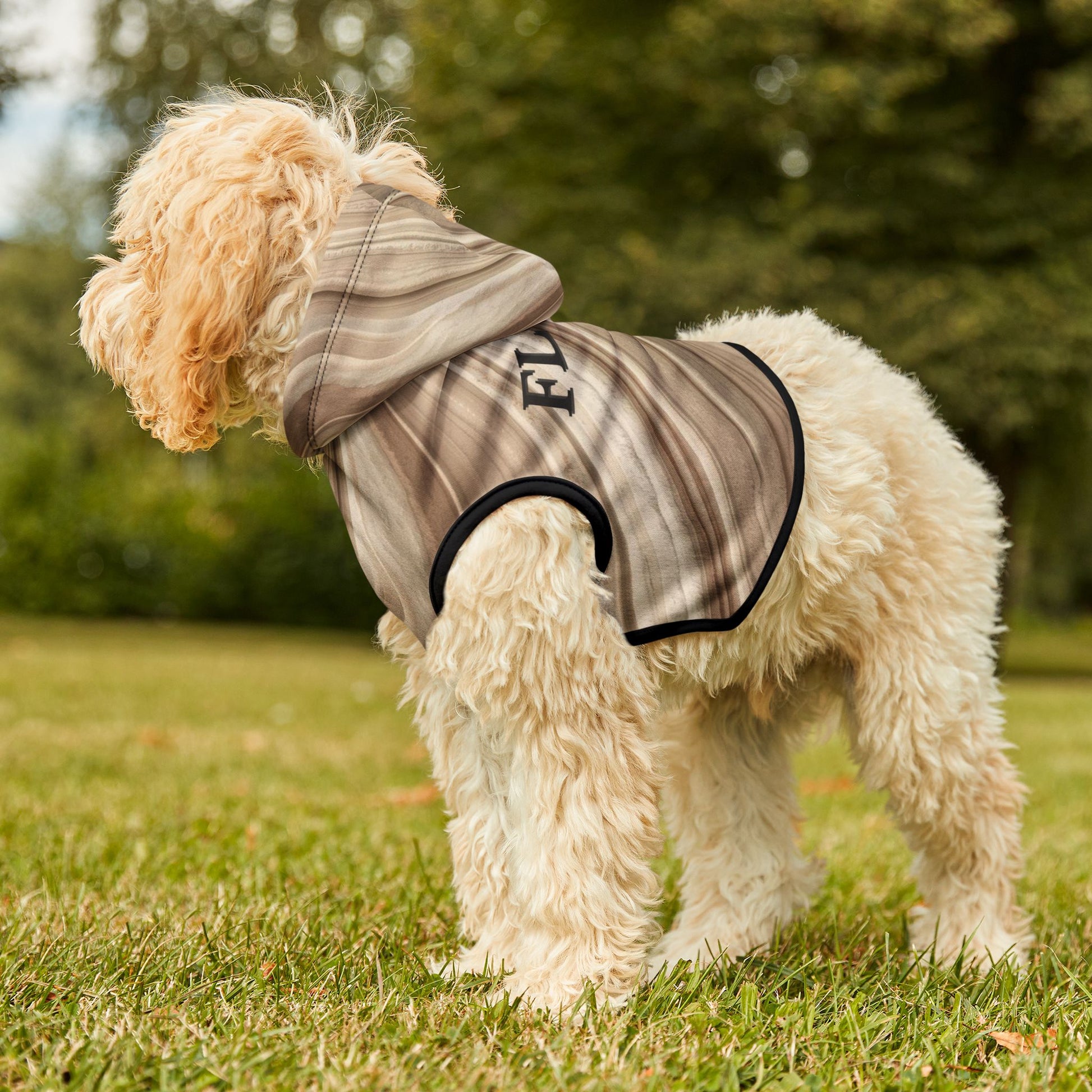 Pet hoodie size guide for dogs and cats