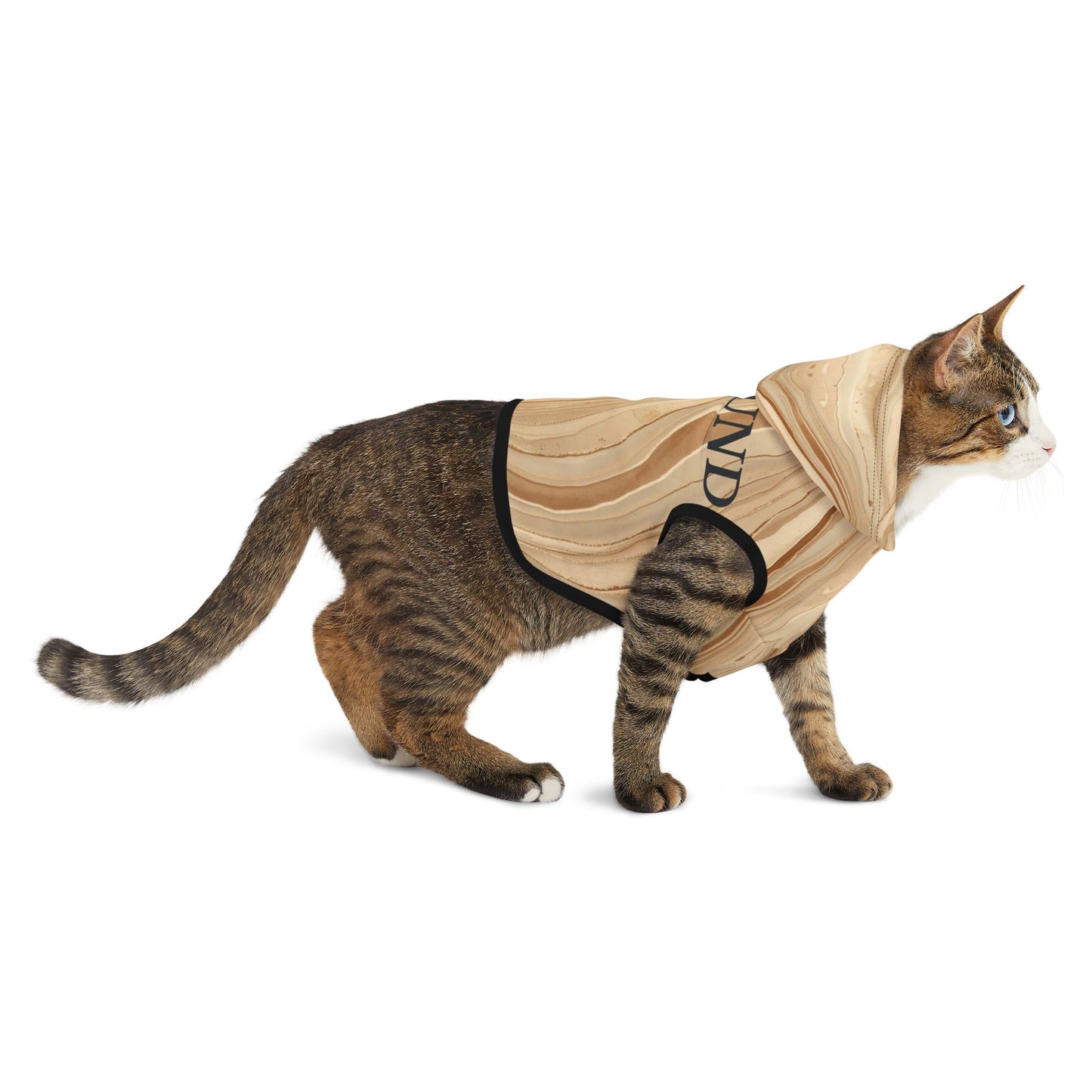 Cat wearing a beige cape with black accents on a white background