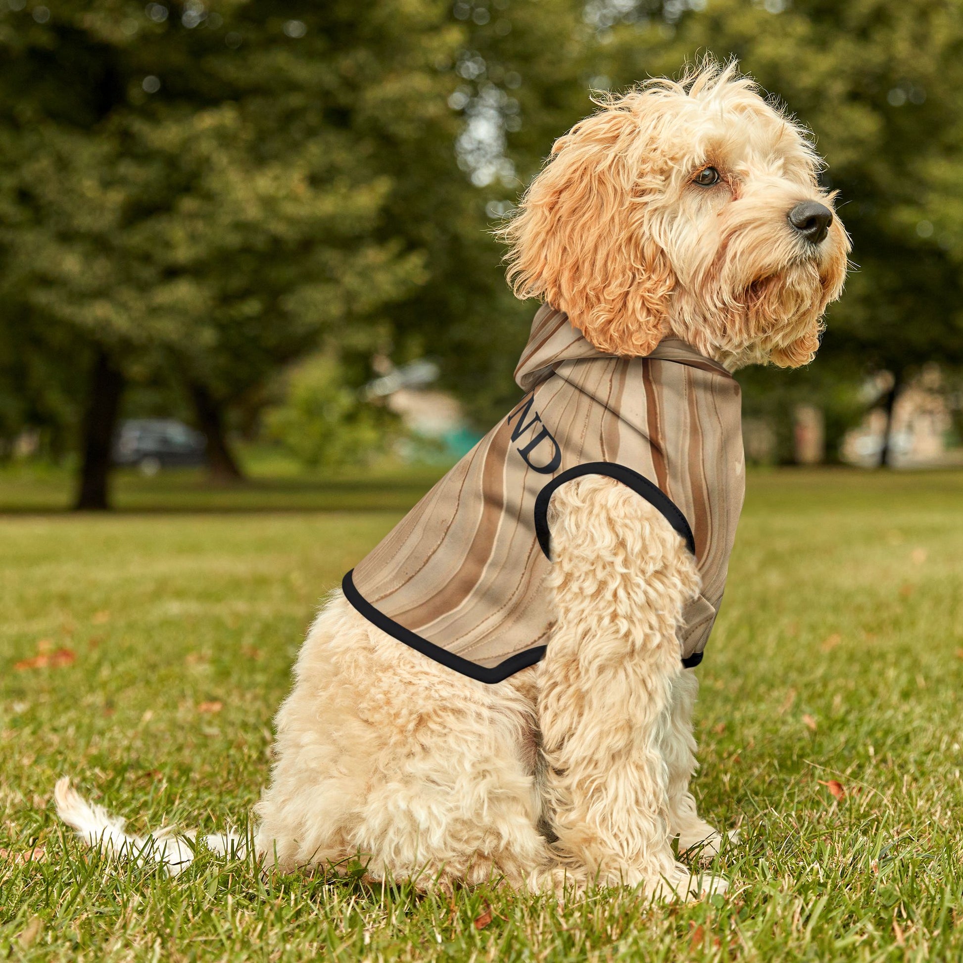 Dog wearing a striped jacket sitting on grass with trees in the background