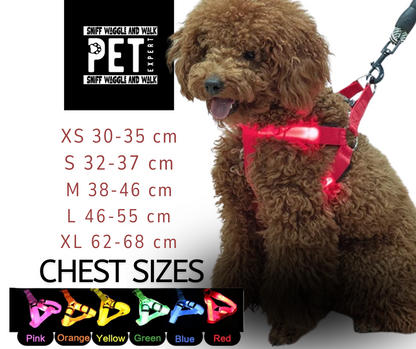 LED Illuminated Harness by Sniffwaggleandwalk™