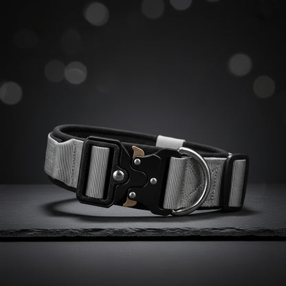 grey tactical dog collar modern urban style