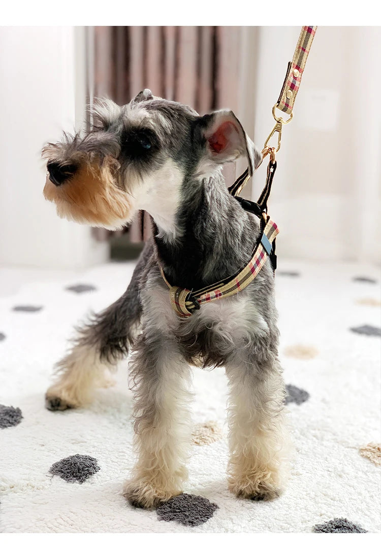 Adjustable plaid nylon harness perfect for small dogs and cats