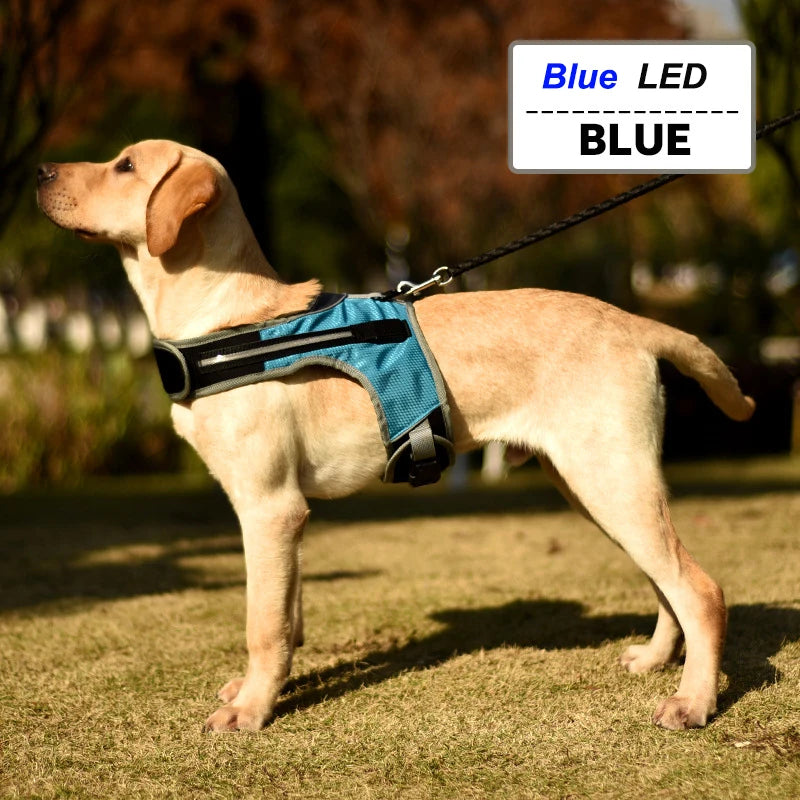 GlowGuard™: The ultimate LED Dog Harness - Sniff Waggle And Walk