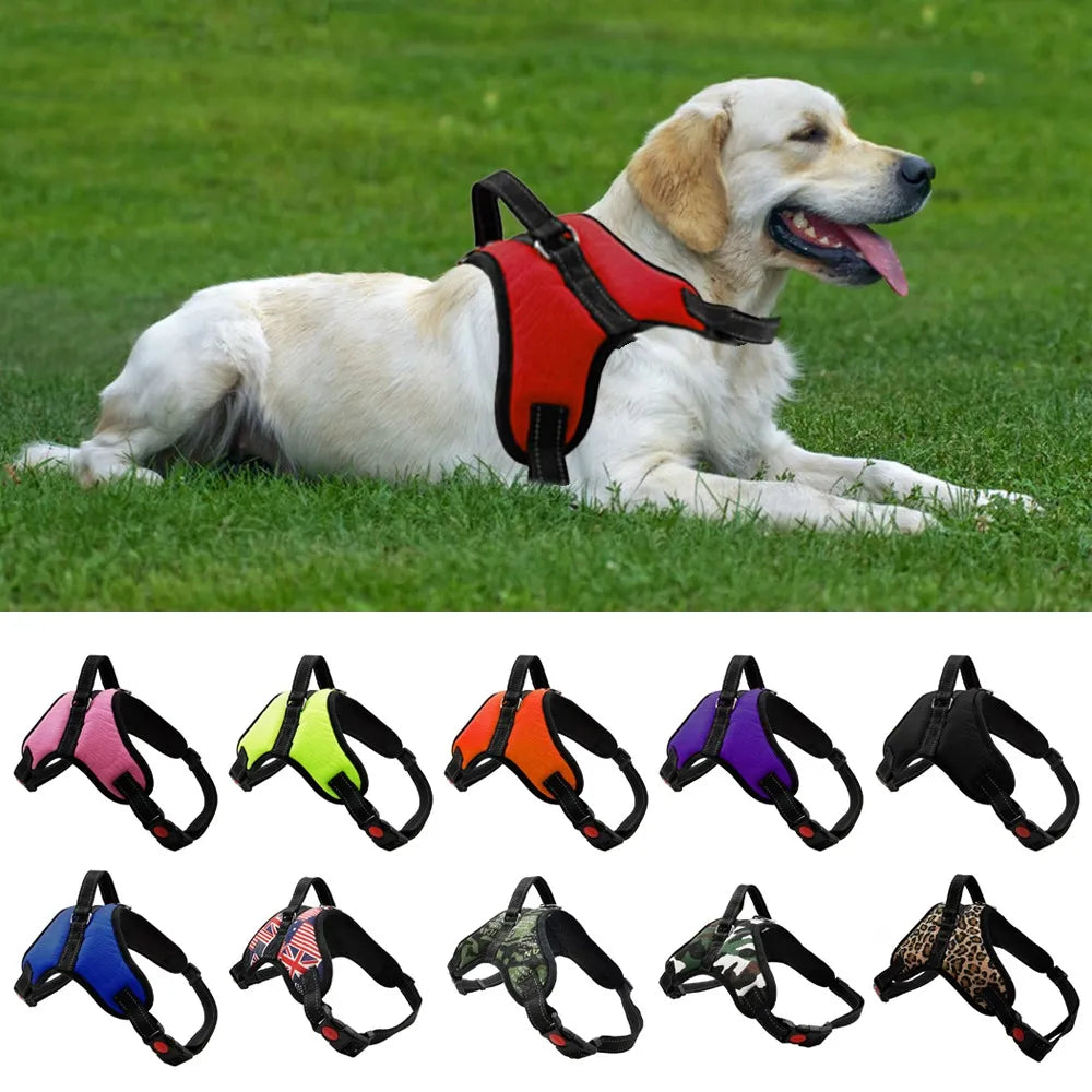 Sniffwagglendwalk® Reflective Harness. - Sniff Waggle And Walk