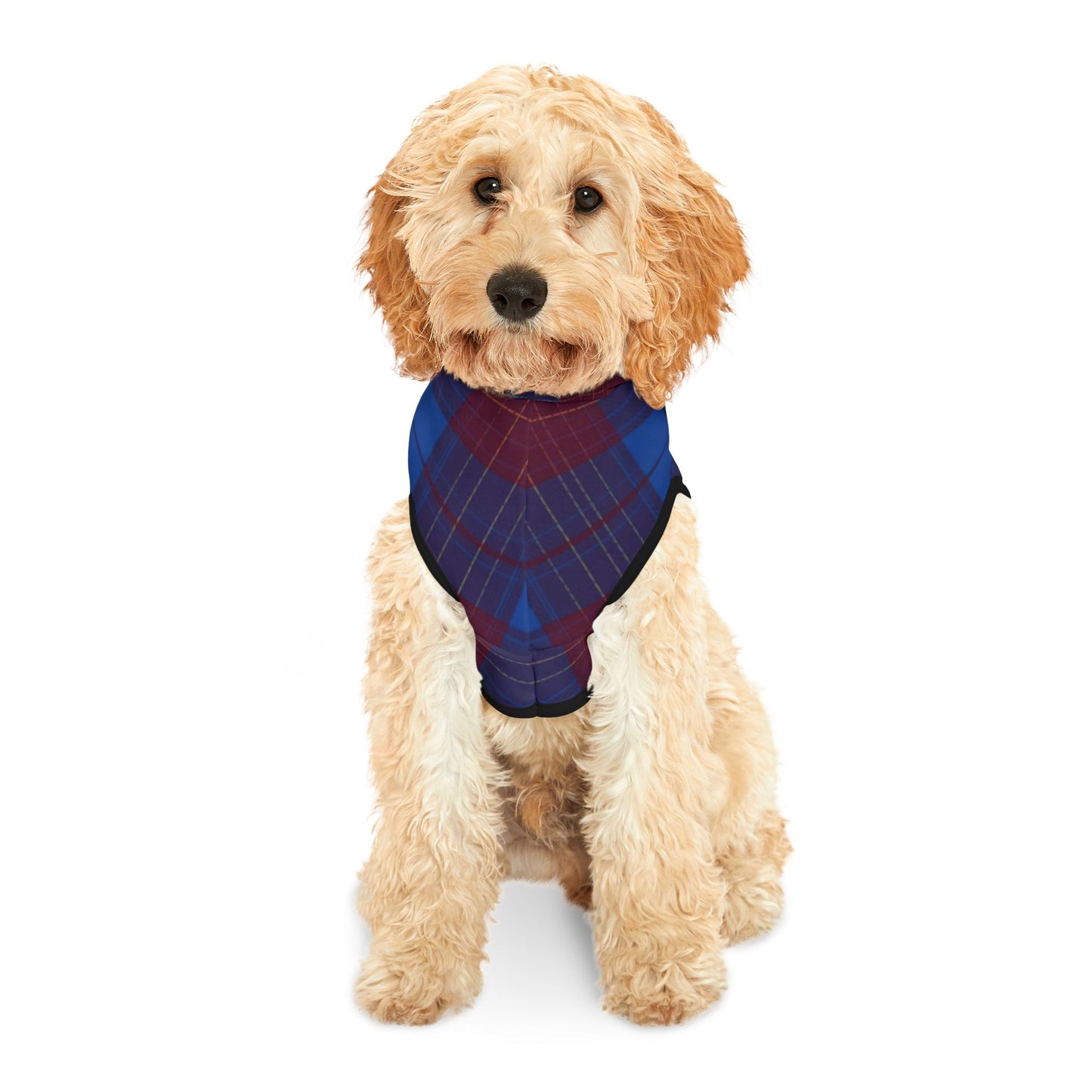 Ribbed cuffs and hem on Heirloom premium dog hoodie