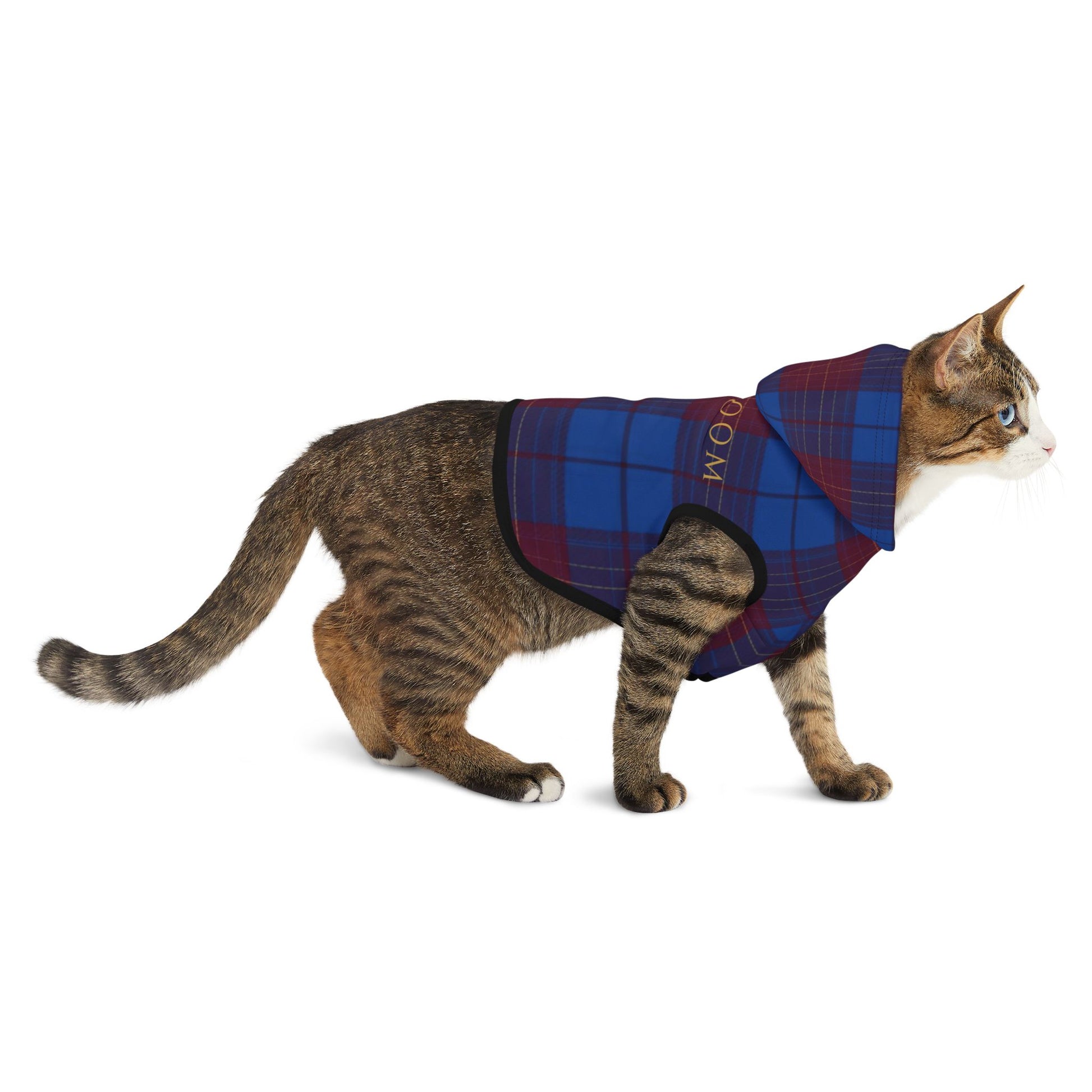 Comfortable fit of Heirloom hoodie on a medium dog