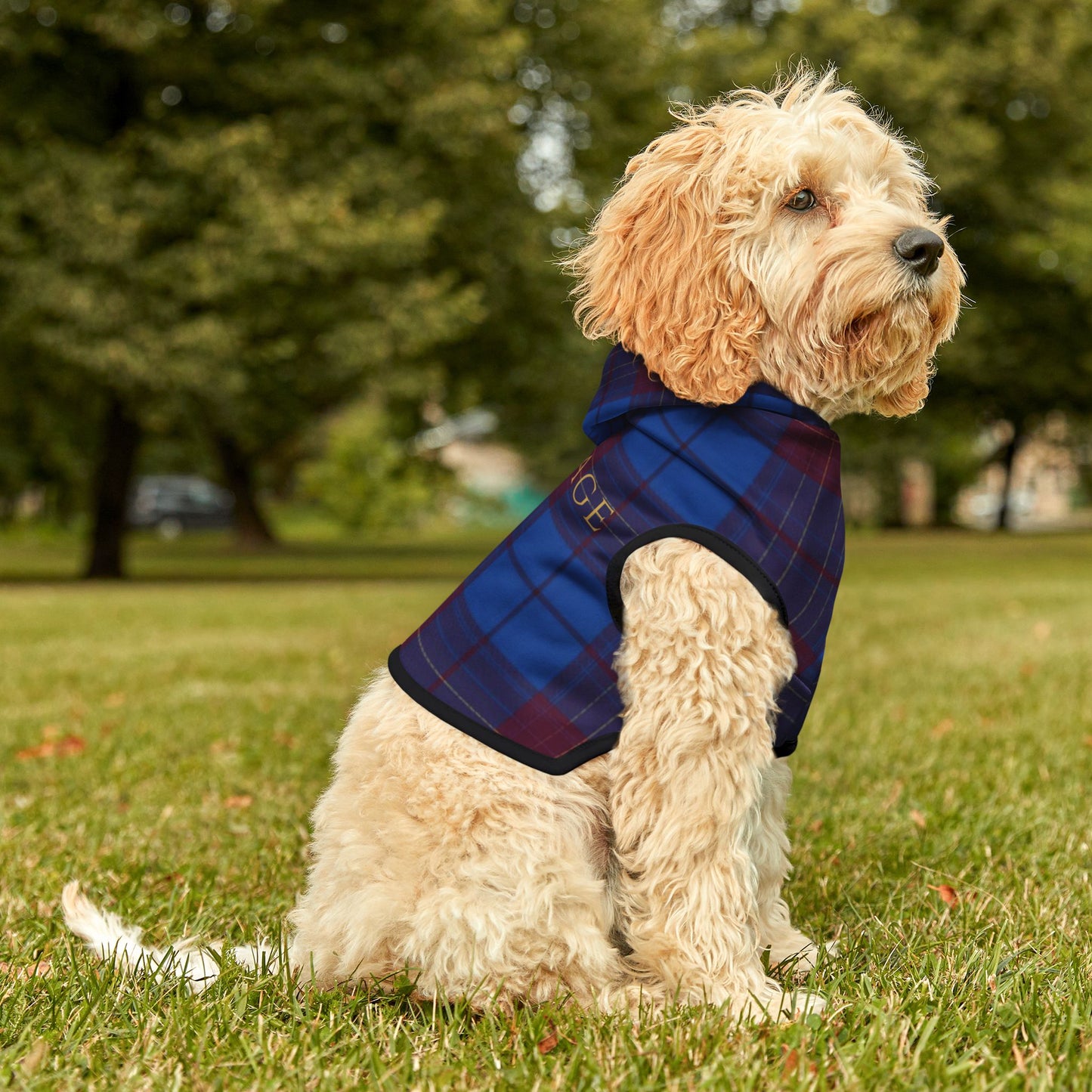 Rear angle of dog wearing heritage tartan hoodie