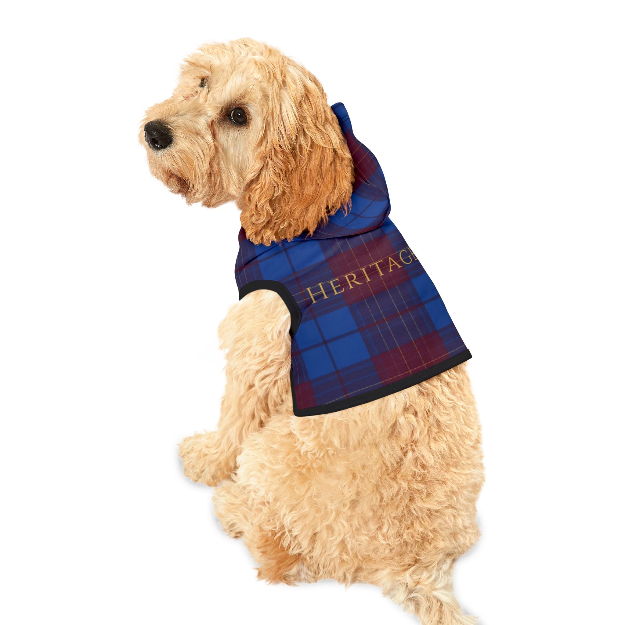 Premium tartan dog hoodie shown from the back with classic heritage design