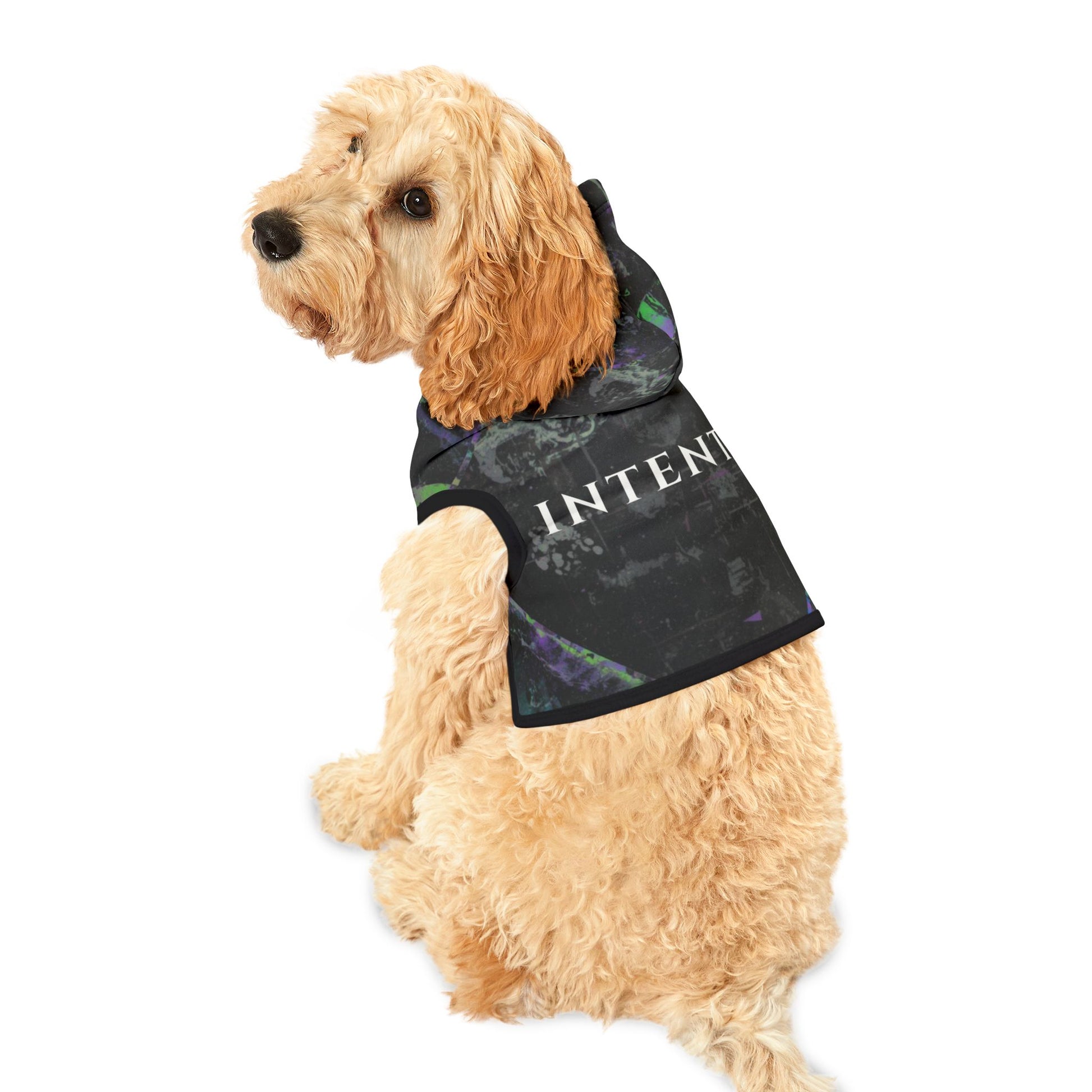Dog wearing INTENT flow typography hoodie in minimalist style