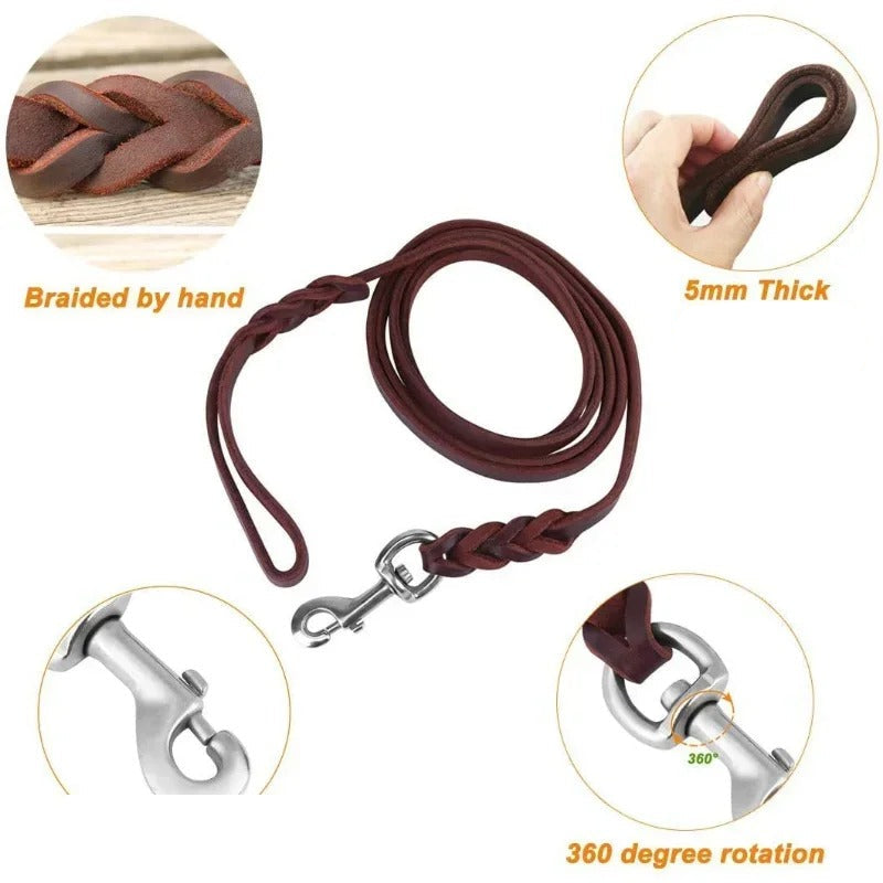 Golden Retriever walking on an IronPaw Heritage braided leather dog lead in Heritage Brown.