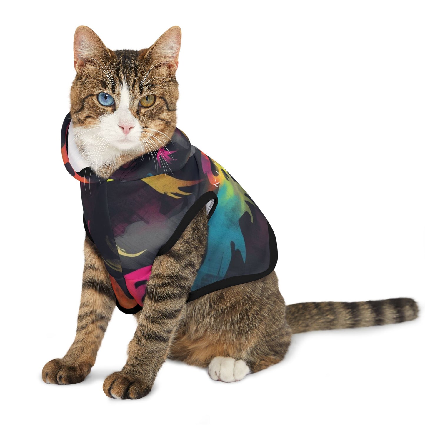 cat wearing kinetic hoodie on daily walk