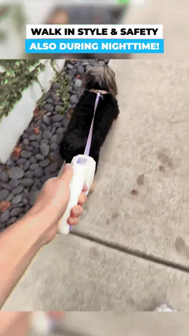 LumiLead™ retractable LED dog lead animated demo — flashlight and LED ring modes cycling on night walk