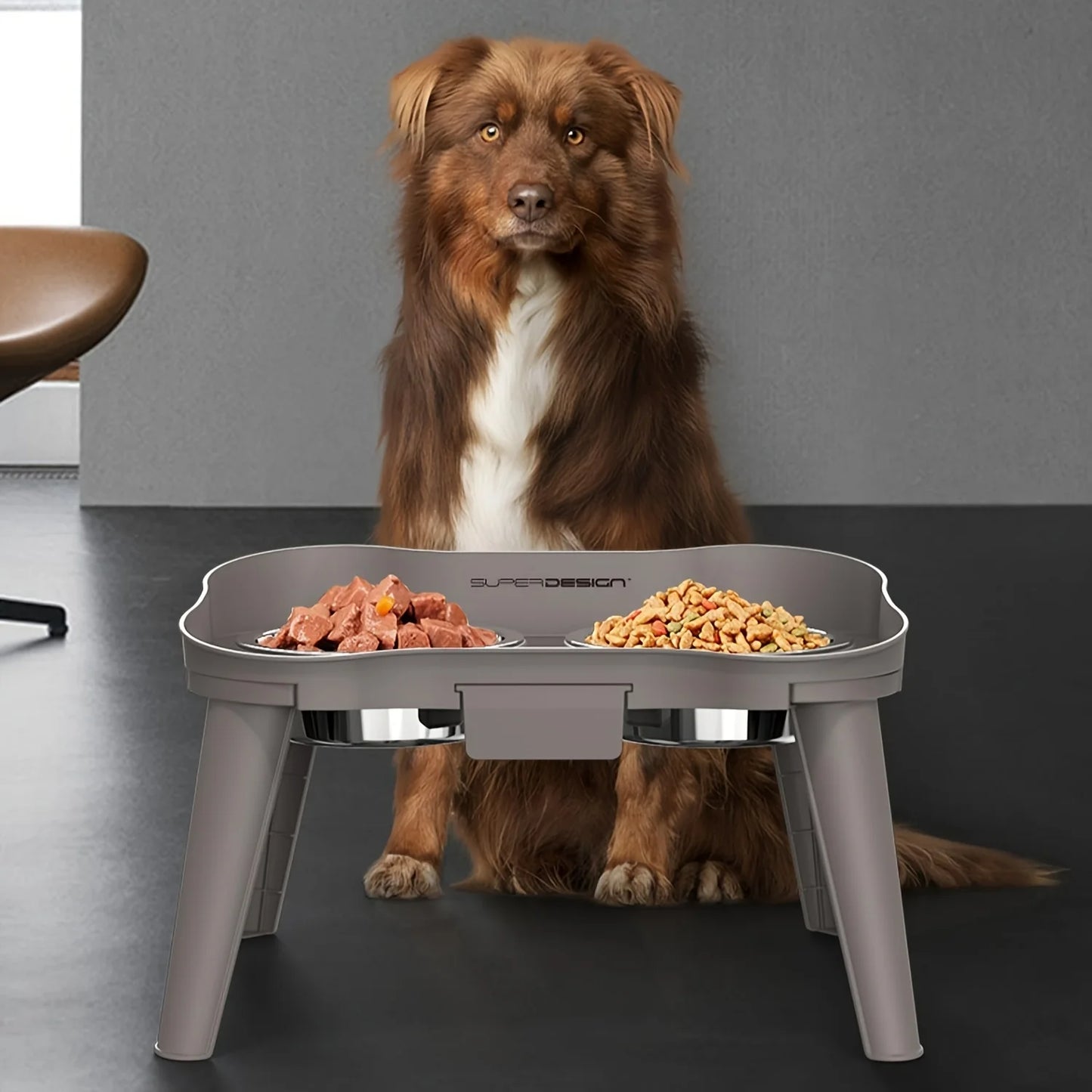 Golden Retriever drinking from XL size SuperDesign elevated feeder without stooping