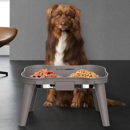 Golden Retriever drinking from XL size SuperDesign elevated feeder without stooping