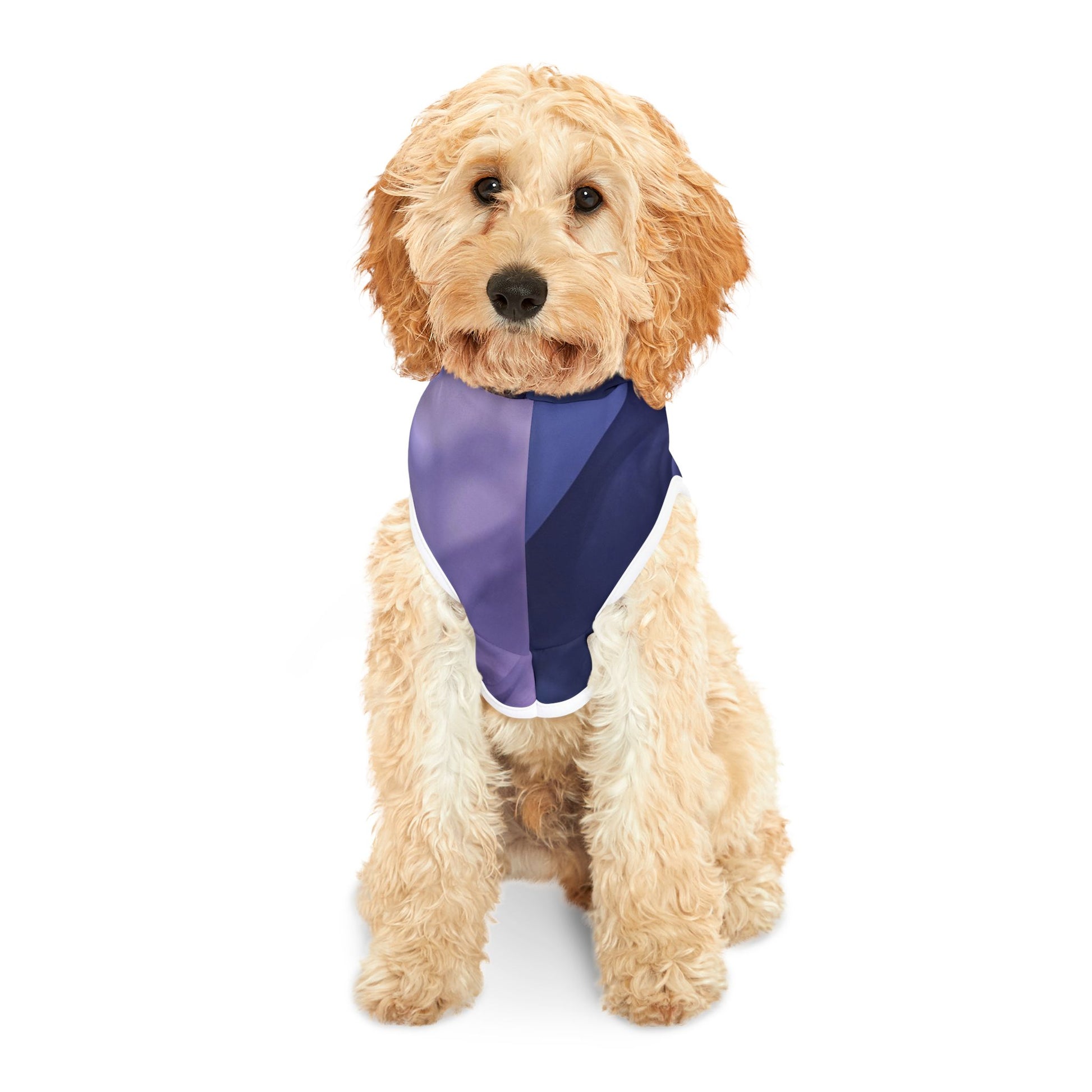 Lightweight spiritual pet hoodie with 555 number