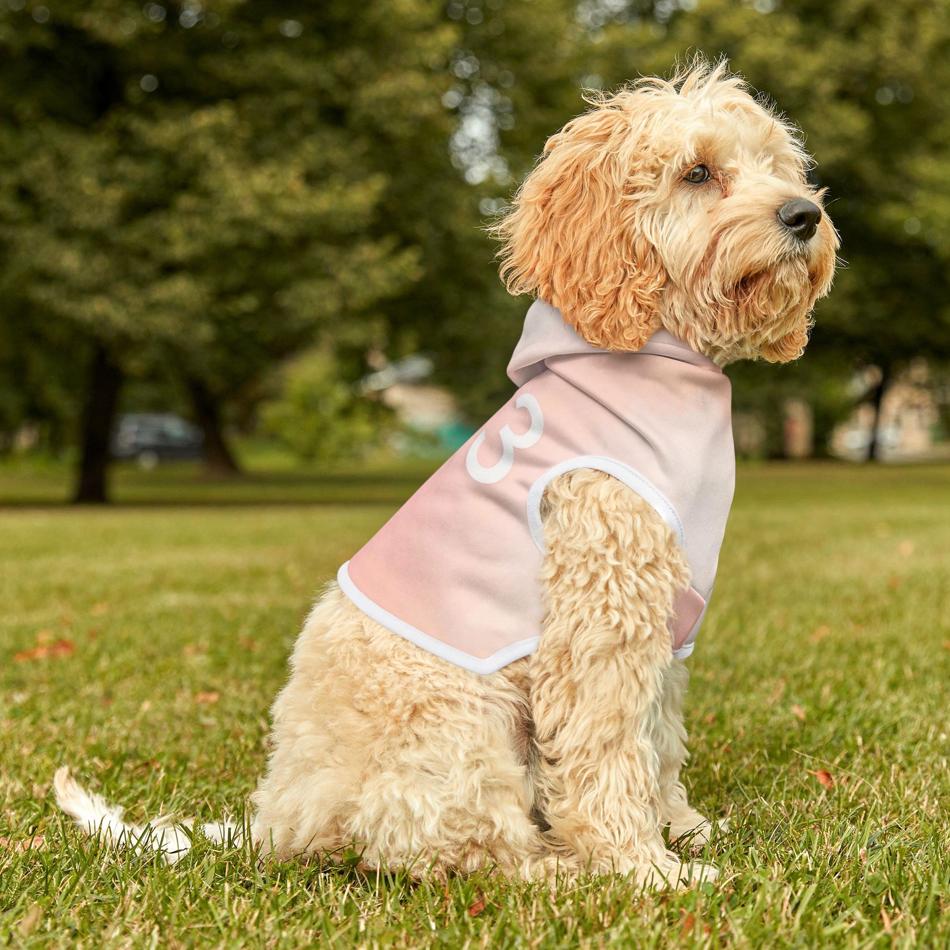 Quick-dry soft polyester pet hoodie