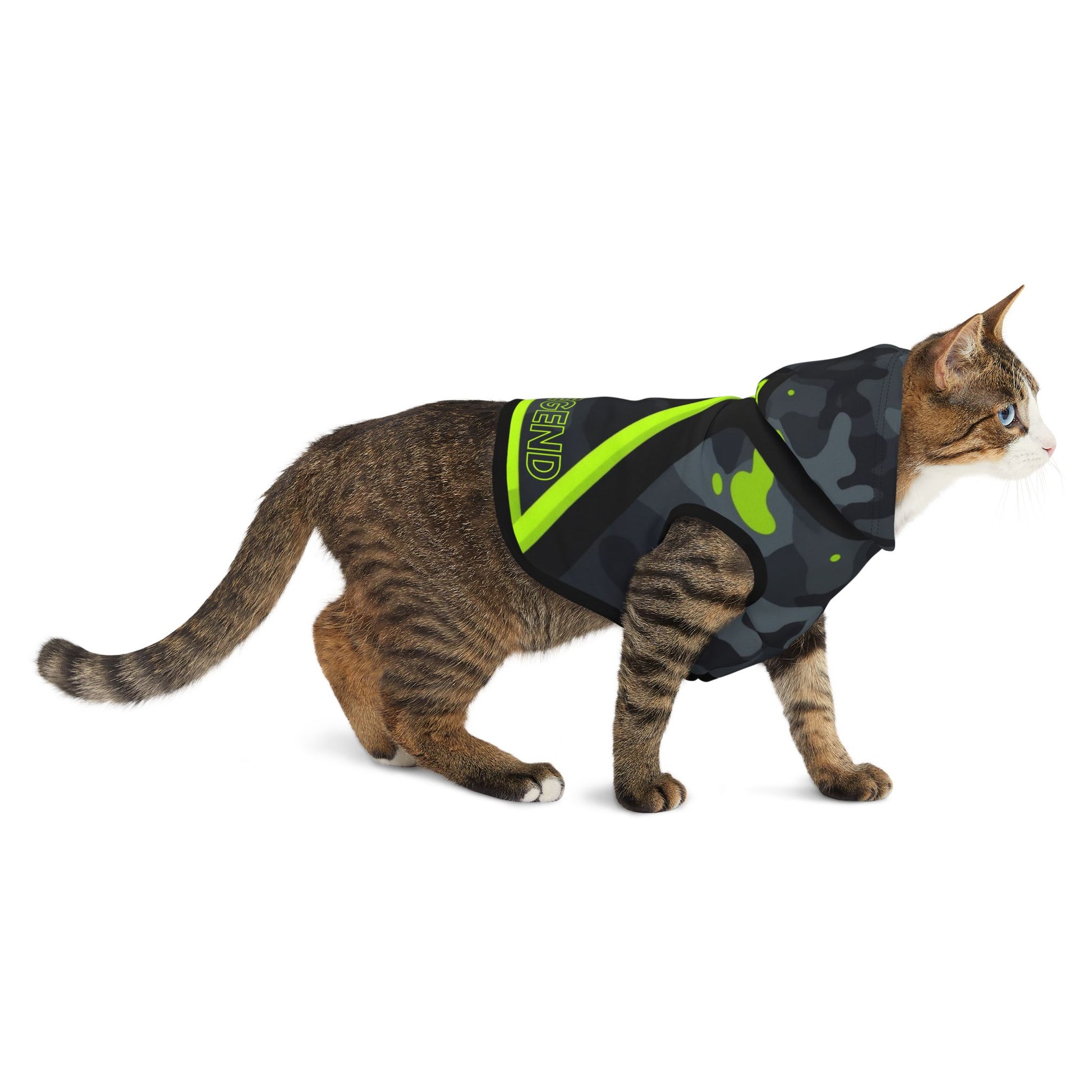 Urban-style CAT hoodie designed for confident streetwear-inspired dogs