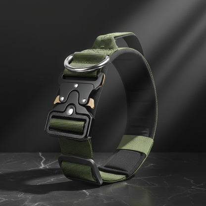 dog collar secure locking buckle system close view