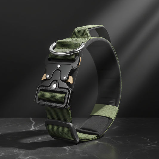dog collar secure locking buckle system close view