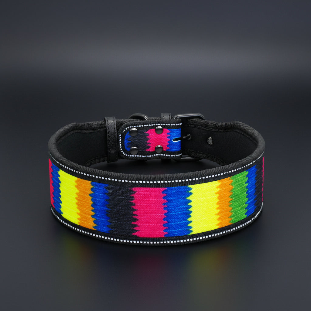 Dog collar with colorful striped pattern on a white background