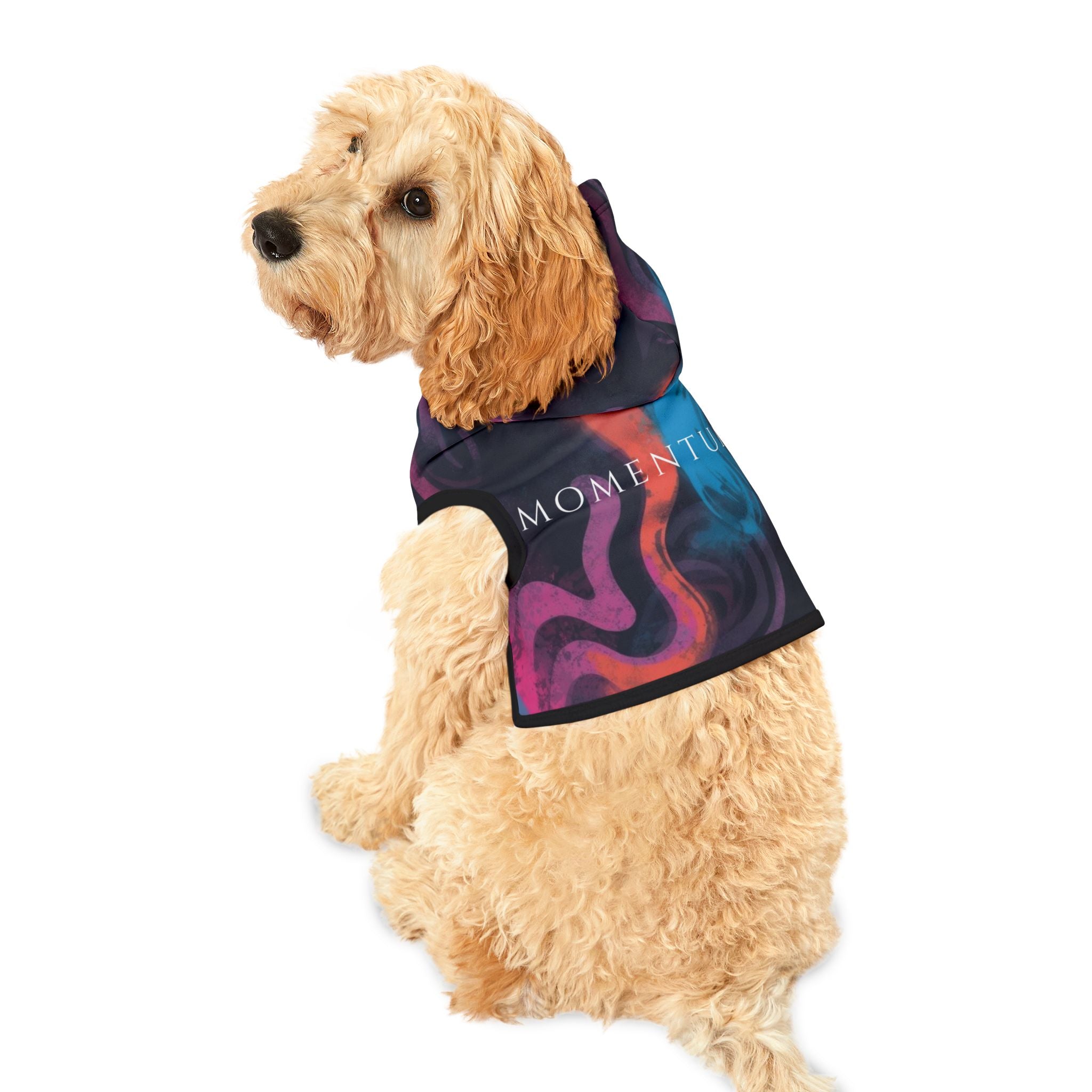 Momentum alignment pet hoodie featuring abstract motion inspired pattern symbolizing progress