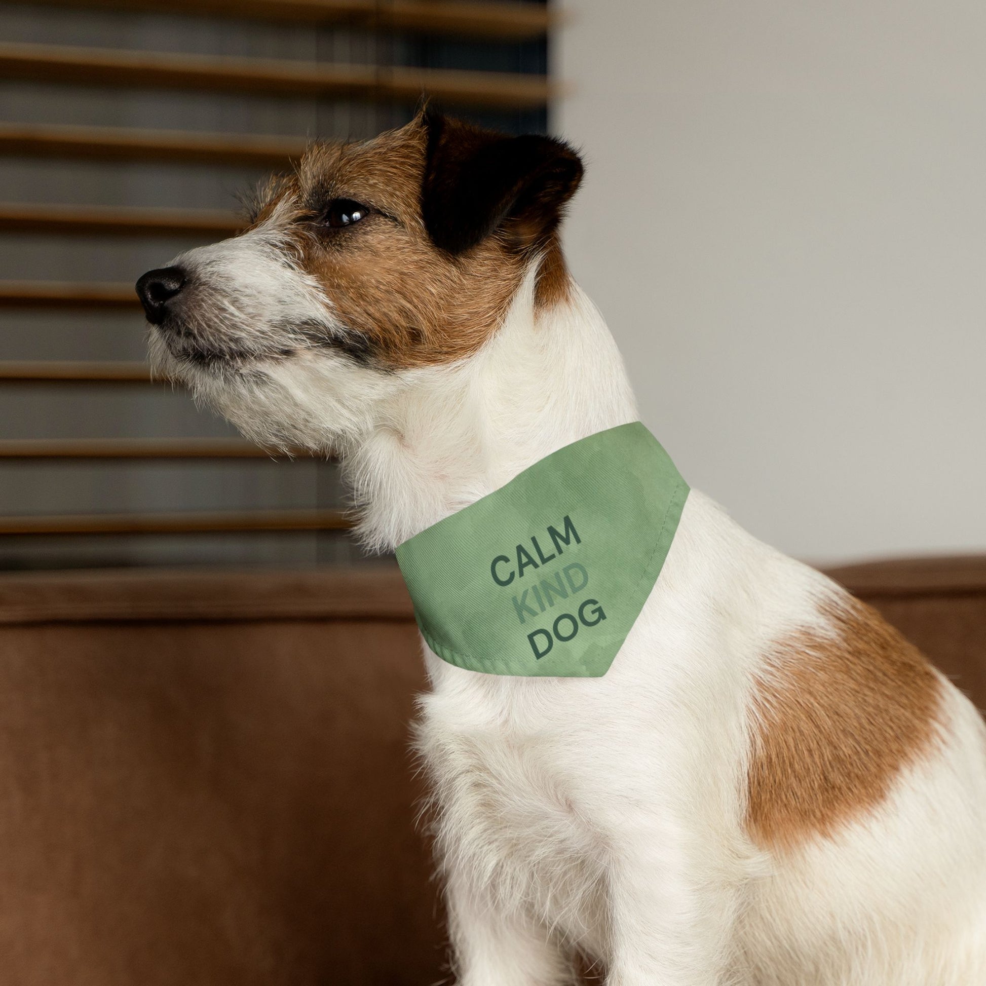 Modern dog bandana design