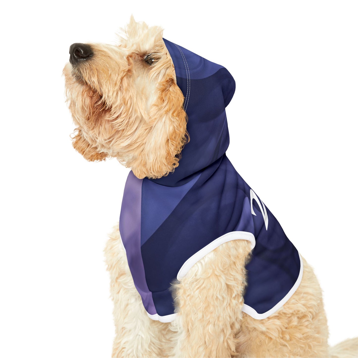 Close-up of 222 mystic number on purple pet hoodie